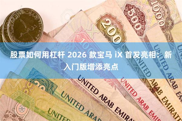 股票如何用杠杆 2026 款宝马 iX 首发亮相：新入门版增添亮点