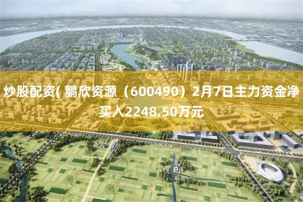 炒股配资( 鹏欣资源（600490）2月7日主力资金净买入2248.50万元