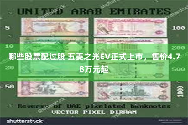 哪些股票配过股 五菱之光EV正式上市，售价4.78万元起