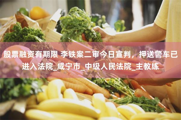 股票融资有期限 李铁案二审今日宣判，押送警车已进入法院_咸宁市_中级人民法院_主教练