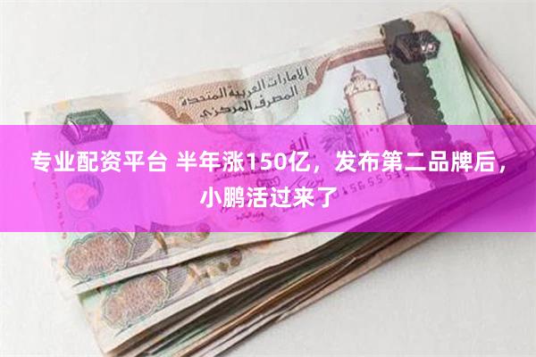 专业配资平台 半年涨150亿，发布第二品牌后，小鹏活过来了