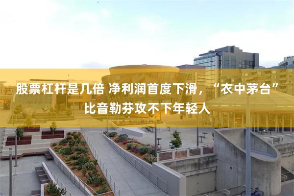 股票杠杆是几倍 净利润首度下滑，“衣中茅台”比音勒芬攻不下年轻人