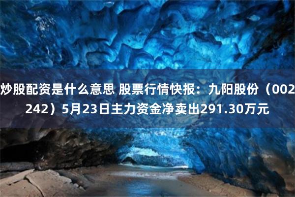 炒股配资是什么意思 股票行情快报：九阳股份（002242）5月23日主力资金净卖出291.30万元
